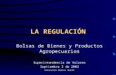 Constanza Blanco Barón LA REGULACIÓN Bolsas de Bienes y Productos Agropecuarios Superintendencia de Valores Septiembre 3 de 2002.