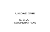 UNIDAD XVIII S. C. A. - COOPERATIVAS. SOCIEDAD EN COMANDITA POR ACCIONES SOCIOS COMANDITADOS. SOCIOS COMANDITARIOS.