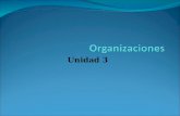 Unidad 3. 1. Las Organizaciones y el Individuo El comportamiento de las personas en las organizaciones ha sido estudiado desde diferentes aspectos: 1.