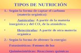 1.- Segn la forma de captar el carbono (materia orgnica): Aut³trofos: A partir de la materia inorgnica y del CO 2 de la atm³sfera. Heter³trofos: A partir