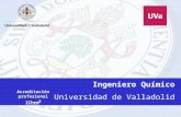 Ingeniero Químico Universidad de Valladolid Acreditación profesional IChem E.