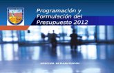 Company name Company LOGO Programación y Formulación del Presupuesto 2012 DIRECCION DE PLANIFICACION.
