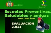 Ministerio De Salud y Deportes Programa del Adolescente EVALUACIÓN 2.011 Escuelas Preventivas, Saludables y amigas USMEA – SEDES POTOSI.