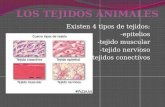 Existen 4 tipos de tejidos: -epitelios -tejido muscular -tejido nervioso -tejidos conectivos.