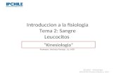 Introduccion a la fisiologia Tema 2: Sangre Leucocitos Professor: Verónica Pantoja. Lic. MSP. “Kinesiologia” IPCHILE - Kinesiologia DOCENTE:Veronica Pantoja.