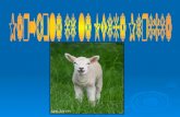Jesús contó la siguiente parábola: Un pastor tenía cien ovejas.