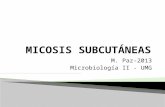 M. Paz-2013 Microbiología II - UMG.  Tejido subcutáneo afectado  Etiología- diversa/ambiental  Organismos de baja patogenicidad ◦ Implantación traumática.
