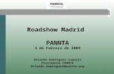 1 Roadshow Madrid PANNTA 4 de Febrero de 2009 Orlando Domínguez Cuquejo Presidente PANNTA Orlando.dominguez@pannta.org.