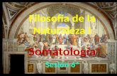 Filosofía de la Naturaleza I Somatología Sesión 6ª.