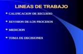 LINEAS DE TRABAJO CALIFICACION DE RECURSO REVISION DE LOS PROCESOS MEDICION TOMA DE DECISIONES.