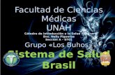 Facultad de Ciencias Médicas UNAH Cátedra de introducción a la Salud Pública Dra. Nelly Figueroa Sección A – 0701 Grupo «Los Buhos» Sistema de Salud Brasil.