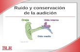 Ruido y conservación de la audición Image credit: OSHA.