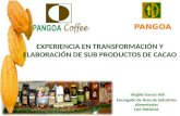 La Cooperativa Cuenta con 650 socios productores de café y cacao (135 son damas). Ubicado en el distrito de Pangoa – Satipo – Junín. 165 productores de.
