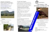 Seminario ” Las aves y los paisajes rurales en las regiones secas” Facultad de Estudios Ambientales y Rurales Departamento de Ecología y Territorio Programa.