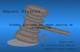 Amparo Directo TRIBUNAL ELECTORAL DEL PODER JUDICIAL DE LA FEDERACIÓN Magistrados: Ma. Gabriela Rolón Montaño Humberto Suárez Camacho.