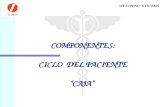WESTWIND SYSTEMS COMPONENTES: CICLO DEL PACIENTE “CAJA”