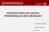 PROTECCIÓN DE DATOS PERSONALES EN URUGUAY Dr. Felipe Rotondo Dr. Felipe Rotondo Ciudad de México, enero 2014 Ciudad de México, enero 2014.