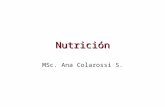 Nutrición MSc. Ana Colarossi S.. Procesos de la nutrición animal. Se pueden considerar las siguientes etapas: 1.Ingestión de los alimentos Consiste en.