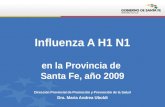 Influenza A H1 N1 en la Provincia de Santa Fe, año 2009 Dirección Provincial de Promoción y Prevención de la Salud Dra. Maria Andrea Uboldi.