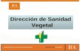 Dirección de Sanidad Vegetal. Responsabilidad en el manejo y la aplicación de agroquímicos.