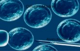 Células Madre Álvaro Bernad. 1ºC. INTRODUCCIÓN ● Las células madre han demostrado que a partir de la clonación de si mismas se pueden realizar numerosos.