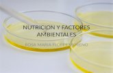 NUTRICION Y FACTORES AMBIENTALES ROSA MARIA FLORES MORENO.
