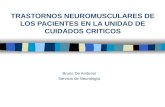TRASTORNOS NEUROMUSCULARES DE LOS PACIENTES EN LA UNIDAD DE CUIDADOS CRITICOS Bruno De Ambrosi Servicio de Neurología.