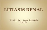 Prof. Dr. Juan Ricardo Cortés. La litiasis del adulto es más frecuente en países desarrollados. Adultos jóvenes entre 15 y 45 años. Más frecuente en hombres.
