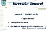 17/09/2014 1 Dirección General Unidad 1: Análisis de la organización 1.La organización viable 2.Dinámica de la organización y la dirección Lic. Liliana.