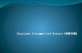 Database Management System (DBMS). Funciones: Definir la base de datos: tipos de datos, estructuras y restricciones. Construir o cargar la base de datos.