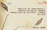 ANÁLISIS DE TERRITORIOS E IDENTIFICACIÓN DE CADENAS PRODUCTIVAS EN CUSIPATA Y PUEBLO DE DIOS Abril 2009.