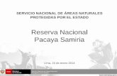 Reserva Nacional Pacaya Samiria Lima, 16 de enero 2014 SERVICIO NACIONAL DE ÁREAS NATURALES PROTEGIDAS POR EL ESTADO.