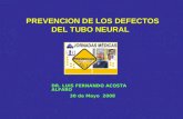 PREVENCION DE LOS DEFECTOS DEL TUBO NEURAL PREVENCION DE LOS DEFECTOS DEL TUBO NEURAL DR. LUIS FERNANDO ACOSTA ALFARO 30 de Mayo 2008.