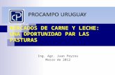 MERCADOS DE CARNE Y LECHE: UNA OPORTUNIDAD PAR LAS PASTURAS Ing. Agr. Juan Peyrou Marzo de 2012.