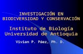 INVESTIGACIÓN EN BIODIVERSIDAD Y CONSERVACIÓN Instituto de Biología Universidad de Antioquia Vivian P. Páez, Ph. D.