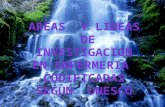 Areas y Lineas de InvestigaCIon Segun Unesco 2 3 (1)