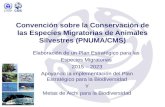 Convención sobre la Conservación de las Especies Migratorias de Animales Silvestres (PNUMA/CMS) Elaboración de un Plan Estratégico para las Especies Migratorias.