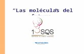 Las moléculas del futuro. Sociedad Española de las Ciencias Sensoriales Dr. J. de Haro.