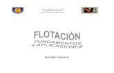 Flotacion - Fundamentos (Sergio Castro)
