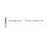 CLASE Antígenos - Inmunógenos.ppt