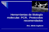 Herramientas de Biología molecular. PCR. Protocolos recomendados Dra. Alicia Lapierre.