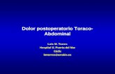 Dolor postoperatorio Toraco- Abdominal Luis M. Torres Hospital U. Puerta del Mar Cádiz lmtorres@arrakis.es.