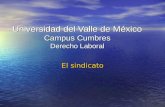 Universidad del Valle de México Campus Cumbres Derecho Laboral El sindicato.
