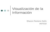 Visualización de la Información Sharon Romero Solís A57018.