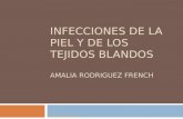 INFECCIONES DE LA PIEL Y DE LOS TEJIDOS BLANDOS AMALIA RODRIGUEZ FRENCH Dra Amalia Rodríguez French FACS, APMC.