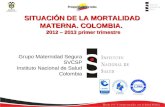 Grupo Maternidad Segura SVCSP Instituto Nacional de Salud Colombia SITUACIÓN DE LA MORTALIDAD MATERNA. COLOMBIA. 2012 – 2013 primer trimestre.
