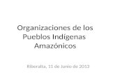 Organizaciones de los Pueblos Indígenas Amazónicos Riberalta, 11 de Junio de 2013.