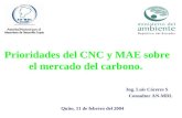 Prioridades del CNC y MAE sobre el mercado del carbono. Ing. Luis Cáceres S Consultor AN-MDL Quito, 11 de febrero del 2004.