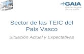 Sector de las TEIC del País Vasco Situación Actual y Expectativas.