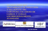 LA EVOLUCION DEL TRATAMIENTO DE INDUCCIÓN Y SECUENCIAL DEL CARCINOMA ESCAMOSO DE CABEZA Y CUELLO LOCOREGIONALMENTE AVANZADO Pilar Mut Sanchis.